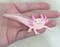 Axolotl Salamander, Realistic Pets, Animals, Embroidered, Iron on Patch